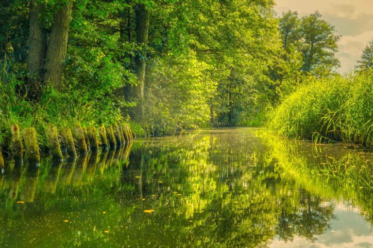 Idyllischer Wasserweg im Spreewald mit &uuml;ppigem Gr&uuml;n und Reflexionen im Wasser. Kahnfahrten und Gruppenreisen in Lehde erkunden Schleusen und Museen.