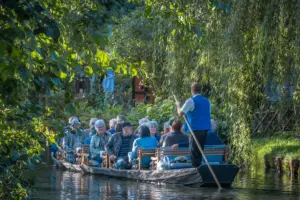 Kahnfahrt für Einzelreisende %spreewald kahnfahrt%